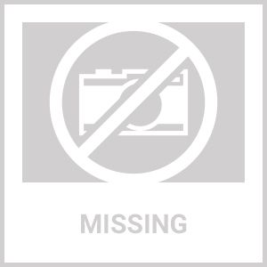 Fashion Popular Footprints Puppy Rhinestone Pendant LovelyPet Jewelry